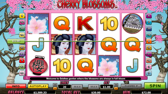 Cherry Blossoms 10